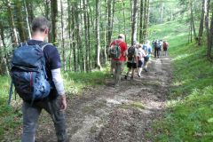 Sonntagberg-Wallfahrt 2024 - 30. Juni 2024 - Foto: Mariazell Online