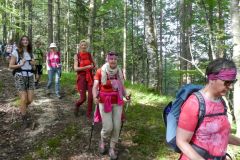 Sonntagberg-Wallfahrt 2024 - 30. Juni 2024 - Foto: Mariazell Online