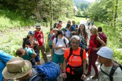 Sonntagberg-Wallfahrt 2024 - 30. Juni 2024 - Foto: Mariazell Online