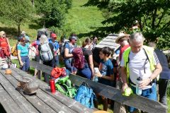 Sonntagberg-Wallfahrt 2024 - 30. Juni 2024 - Foto: Mariazell Online