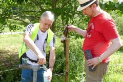 Sonntagberg-Wallfahrt 2024 - 30. Juni 2024 - Foto: Mariazell Online