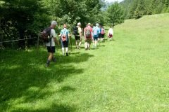 Sonntagberg-Wallfahrt 2024 - 30. Juni 2024 - Foto: Mariazell Online