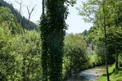 Sonntagberg-Wallfahrt 2024 - 30. Juni 2024 - Foto: Mariazell Online