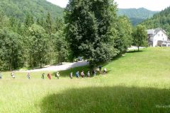 Sonntagberg-Wallfahrt 2024 - 30. Juni 2024 - Foto: Mariazell Online