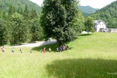 Sonntagberg-Wallfahrt 2024 - 30. Juni 2024 - Foto: Mariazell Online