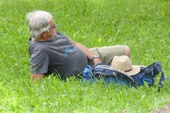 Sonntagberg-Wallfahrt 2024 - 30. Juni 2024 - Foto: Mariazell Online