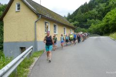 Sonntagberg-Wallfahrt 2024 - 30. Juni 2024 - Foto: Mariazell Online