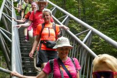 Sonntagberg-Wallfahrt 2024 - 30. Juni 2024 - Foto: Mariazell Online