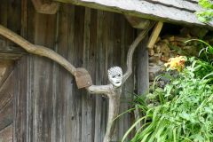 Sonntagberg-Wallfahrt 2024 - 30. Juni 2024 - Foto: Mariazell Online