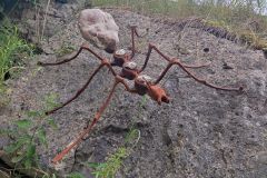 Sonntagberg-Wallfahrt 2024 - 30. Juni 2024 - Foto: Heinrich Karl