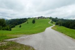 Sonntagberg-Wallfahrt 2024 - 1. Juli 2024 - Foto: Mariazell Online