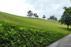 Sonntagberg-Wallfahrt 2024 - 1. Juli 2024 - Foto: Mariazell Online