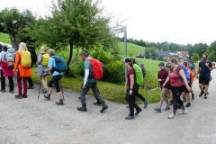 Sonntagberg-Wallfahrt 2024 - 1. Juli 2024 - Foto: Mariazell Online