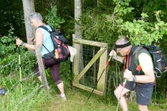 Sonntagberg-Wallfahrt 2024 - 1. Juli 2024 - Foto: Mariazell Online