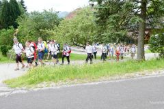 Sonntagberg-Wallfahrt 2024 - 1. Juli 2024 - Foto: Mariazell Online