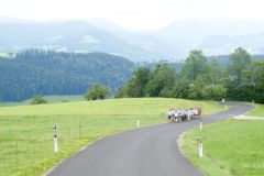 Sonntagberg-Wallfahrt 2024 - 1. Juli 2024 - Foto: Mariazell Online