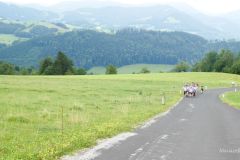 Sonntagberg-Wallfahrt 2024 - 1. Juli 2024 - Foto: Mariazell Online