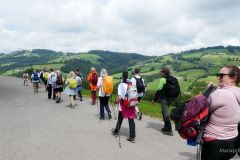 Sonntagberg-Wallfahrt 2024 - 1. Juli 2024 - Foto: Mariazell Online