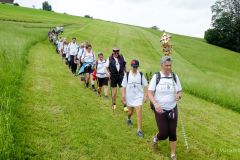 Sonntagberg-Wallfahrt 2024 - 1. Juli 2024 - Foto: Mariazell Online