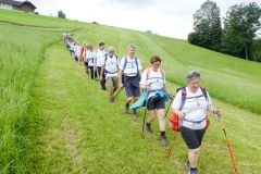 Sonntagberg-Wallfahrt 2024 - 1. Juli 2024 - Foto: Mariazell Online