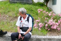 Sonntagberg-Wallfahrt 2024 - 1. Juli 2024 - Foto: Mariazell Online