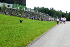 Sonntagberg-Wallfahrt 2024 - 1. Juli 2024 - Foto: Mariazell Online