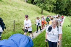 Sonntagberg-Wallfahrt 2024 - 1. Juli 2024 - Foto: Mariazell Online