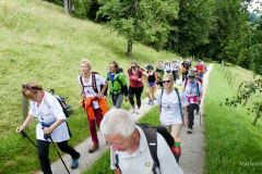 Sonntagberg-Wallfahrt 2024 - 1. Juli 2024 - Foto: Mariazell Online