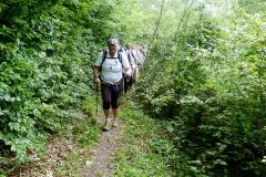 Sonntagberg-Wallfahrt 2024 - 1. Juli 2024 - Foto: Mariazell Online