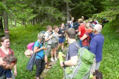 Fußwallfahrt zum Sonntagberg 2025