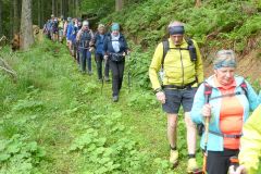 Fußwallfahrt zum Sonntagberg 2025