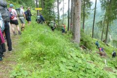 Fußwallfahrt zum Sonntagberg 2025