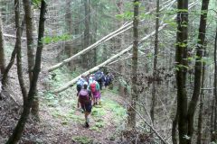 Fußwallfahrt zum Sonntagberg 2025