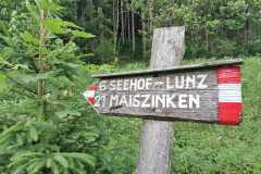 Fußwallfahrt zum Sonntagberg 2025 - Foto: Heinrich Karl
