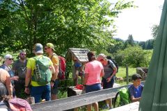 Fußwallfahrt zum Sonntagberg 2025