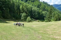 Fußwallfahrt zum Sonntagberg 2025