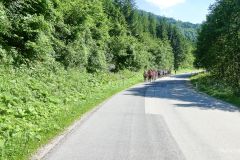 Fußwallfahrt zum Sonntagberg 2025