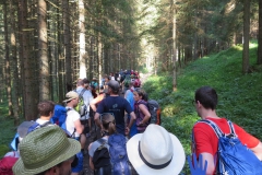 Fußwallfahrt zum Sonntagberg - Samstag, 4. Juli 2015