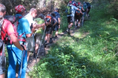Fußwallfahrt zum Sonntagberg - Samstag, 4. Juli 2015