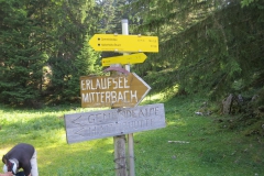 Fußwallfahrt zum Sonntagberg - Samstag, 4. Juli 2015