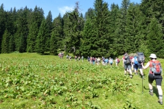 Fußwallfahrt zum Sonntagberg - Samstag, 4. Juli 2015