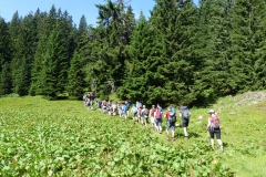 Fußwallfahrt zum Sonntagberg - Samstag, 4. Juli 2015