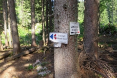 Fußwallfahrt zum Sonntagberg - Samstag, 4. Juli 2015