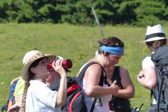 Fußwallfahrt zum Sonntagberg - Samstag, 4. Juli 2015