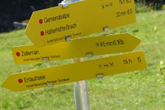 Fußwallfahrt zum Sonntagberg - Samstag, 4. Juli 2015