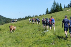 Fußwallfahrt zum Sonntagberg - Samstag, 4. Juli 2015