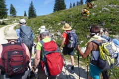 Fußwallfahrt zum Sonntagberg - Samstag, 4. Juli 2015