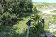 Fußwallfahrt zum Sonntagberg - Samstag, 4. Juli 2015