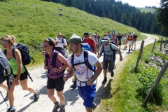 Fußwallfahrt zum Sonntagberg - Samstag, 4. Juli 2015