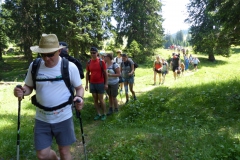 Fußwallfahrt zum Sonntagberg - Samstag, 4. Juli 2015